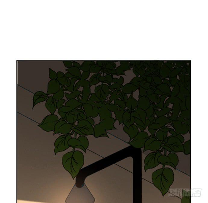 第七十五话(1/2)-第75话