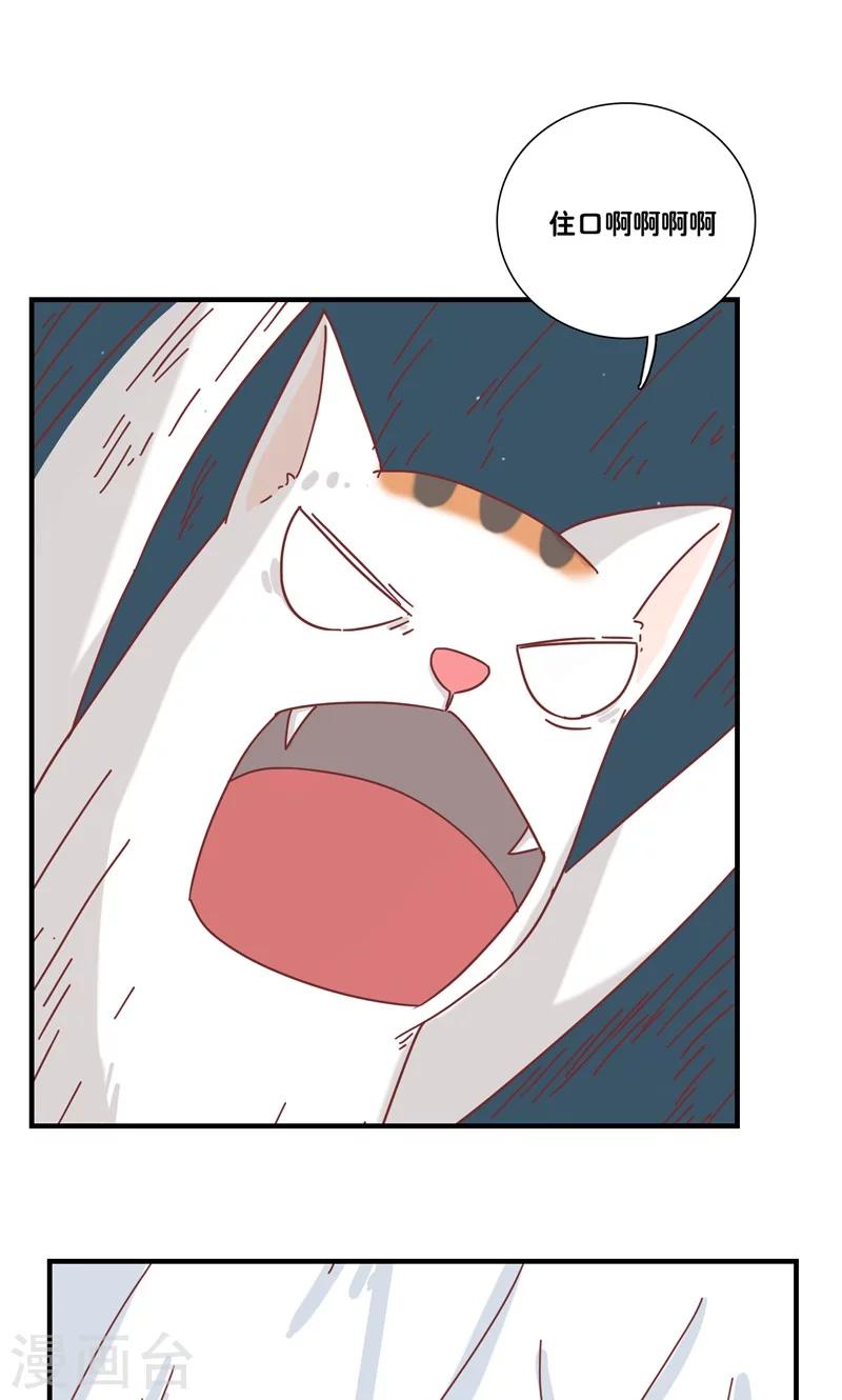 第11话 三花篇(11)-第11话