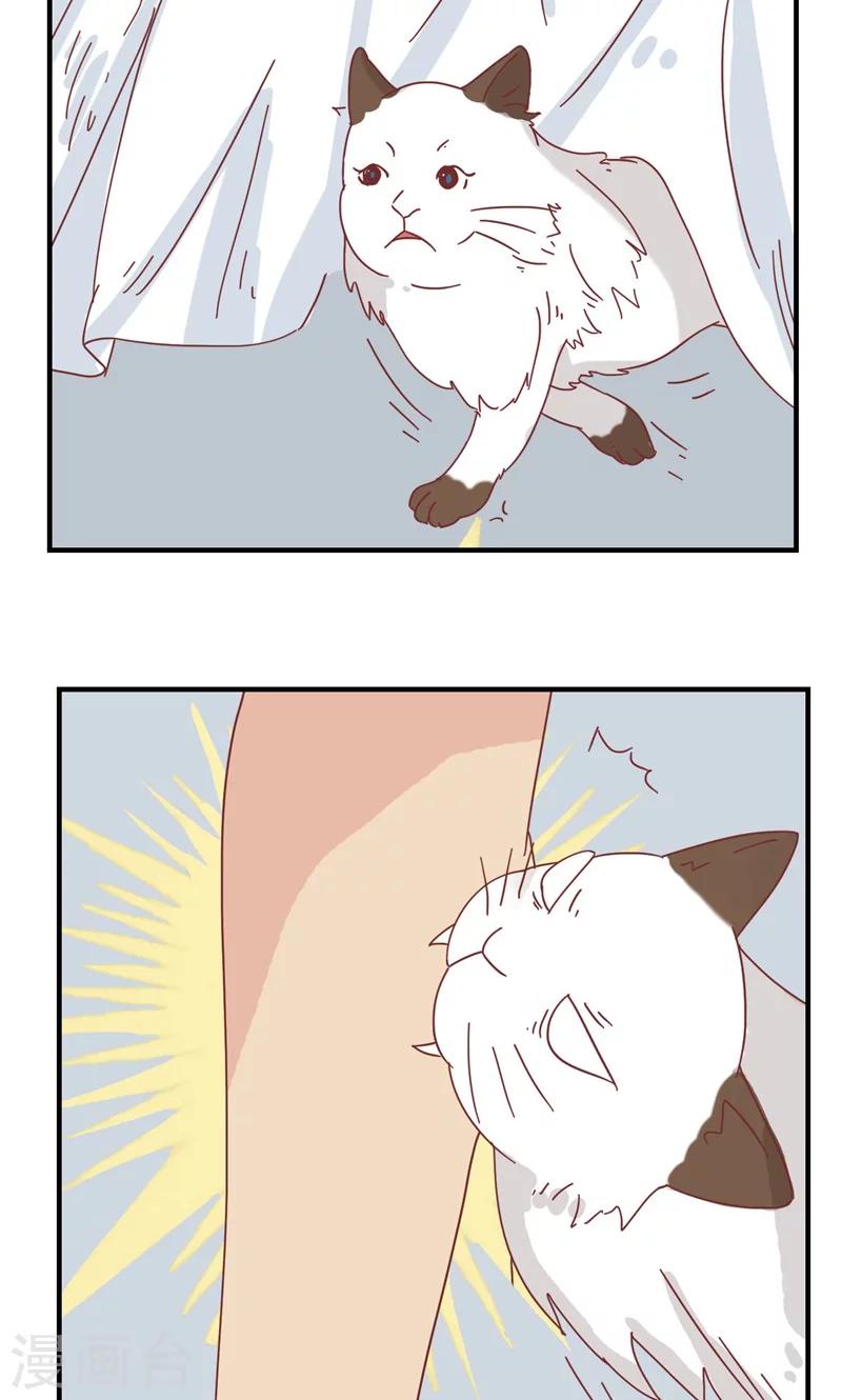 第11话 三花篇(11)-第11话