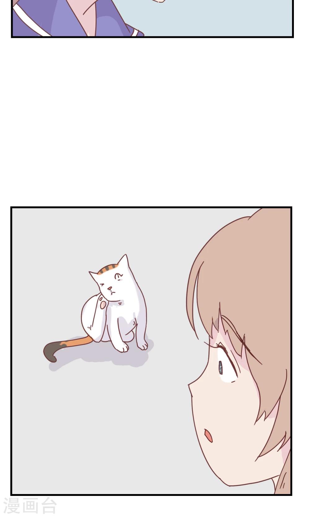 最终话 三花篇(13)-第13话