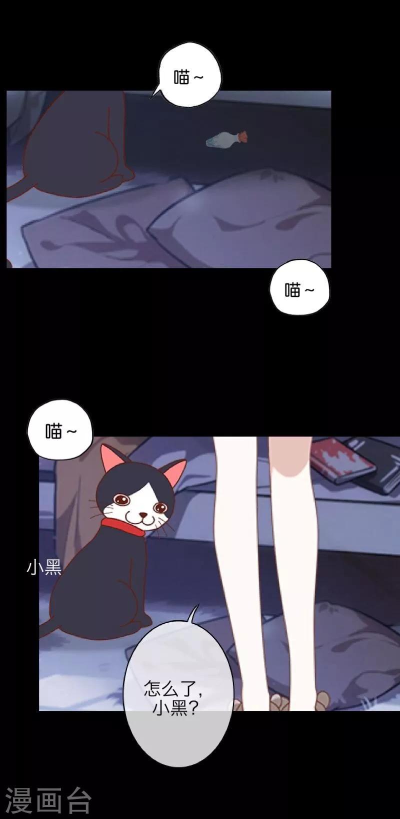 第56话 只爱你一人-第57话