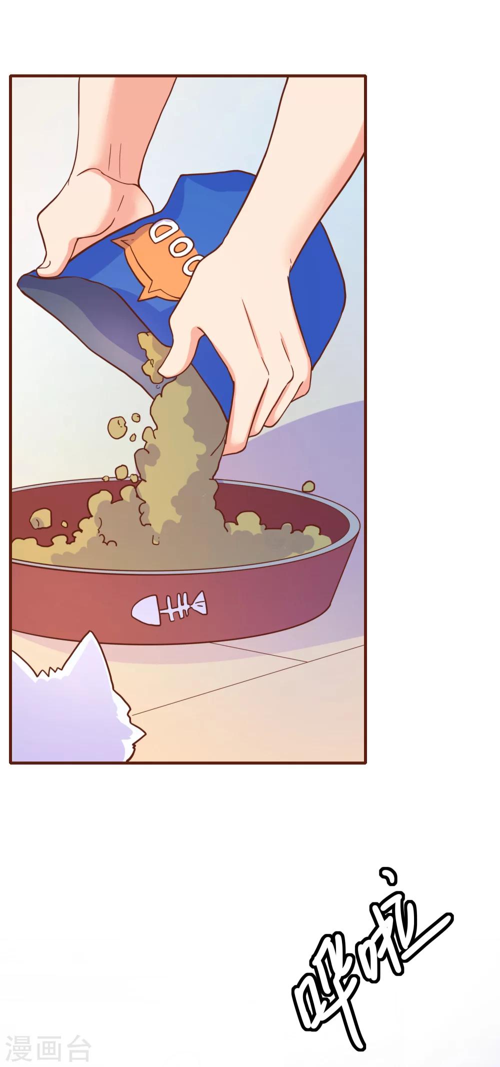 第25话 怎么会有人把狗狗安乐死！-第27话