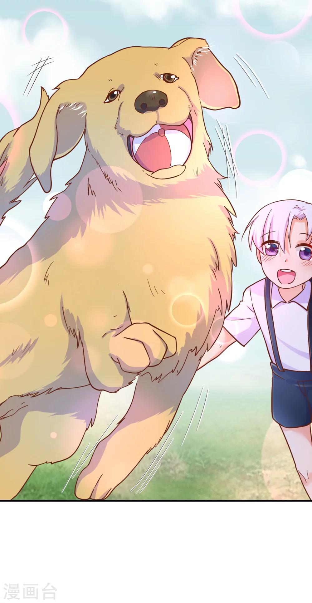 第25话 怎么会有人把狗狗安乐死！-第27话