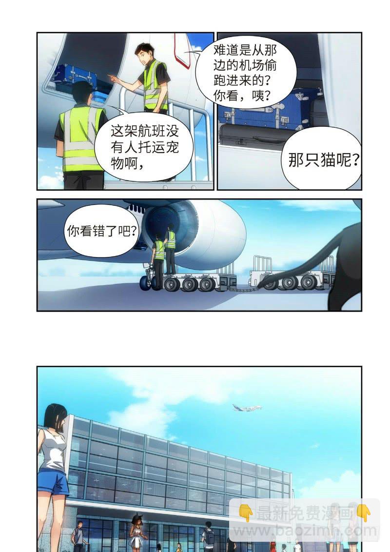 81.猫来了（01）-第83话