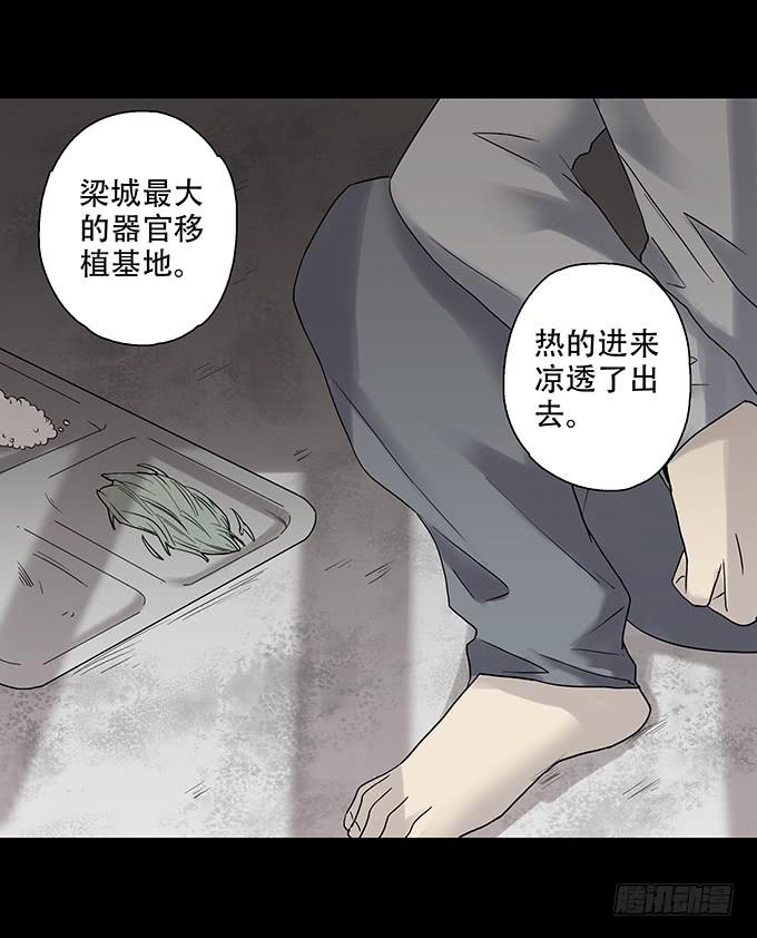 荣誉市民（三）(1/2)-第91话