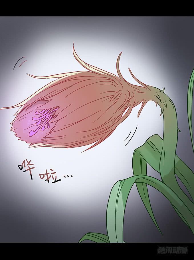 美人花(1/2)-第93话