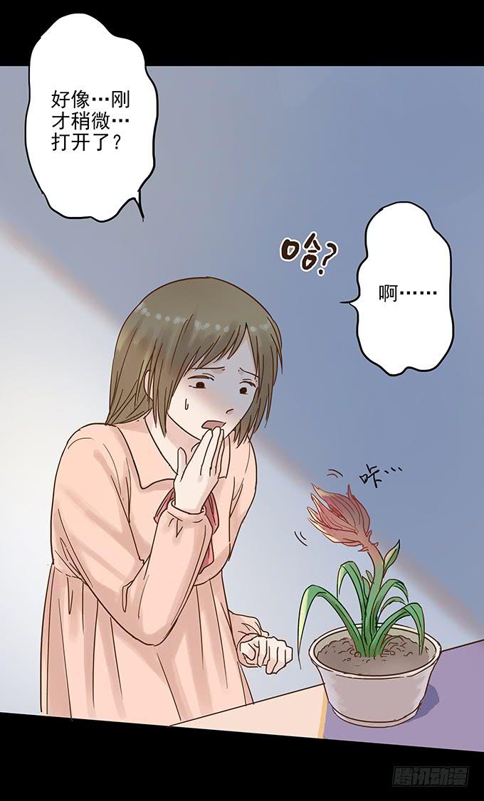 美人花(1/2)-第93话