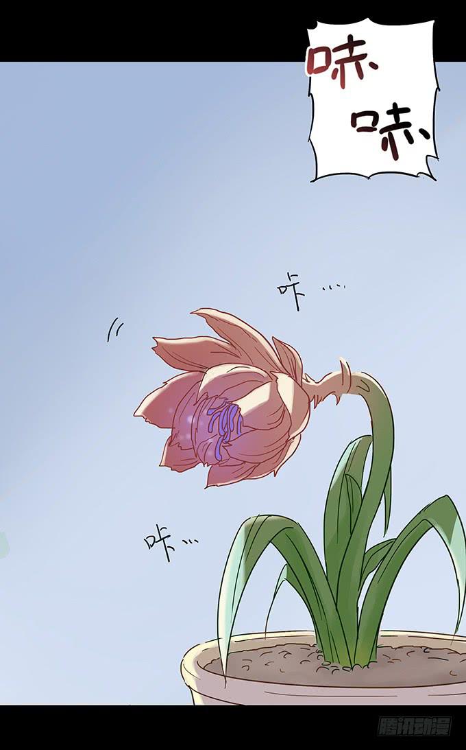 美人花(1/2)-第93话