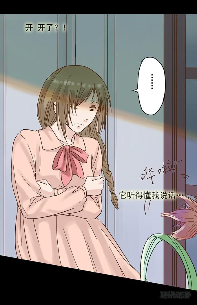 美人花(1/2)-第93话