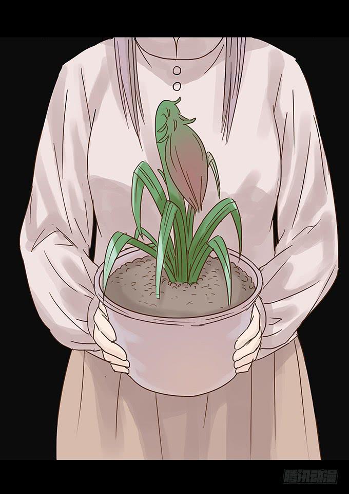 美人花(1/2)-第93话