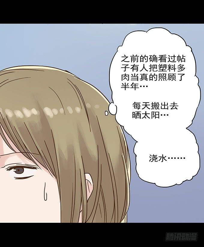 美人花(1/2)-第93话