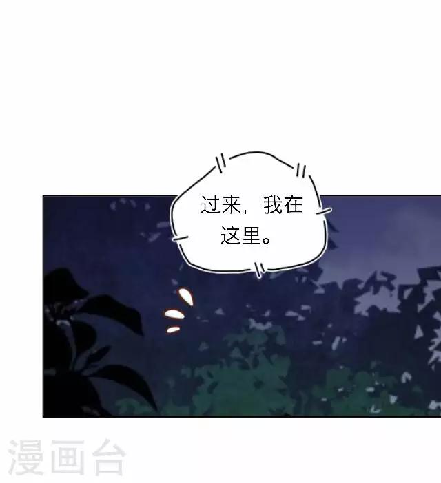 第41话 受伤(1/2)-第41话