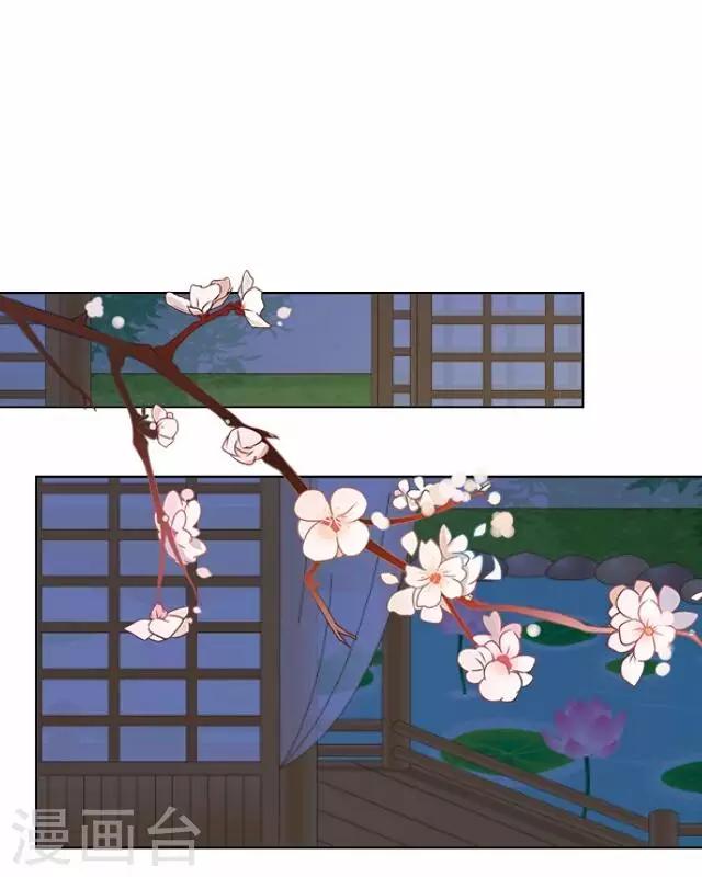 第41话 受伤(1/2)-第41话