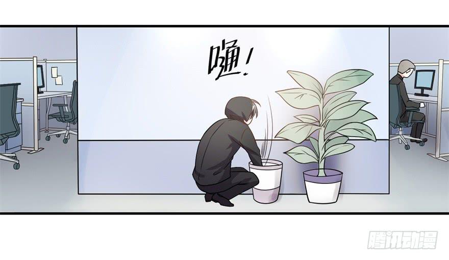 33、琳琅满目的世界-第33话