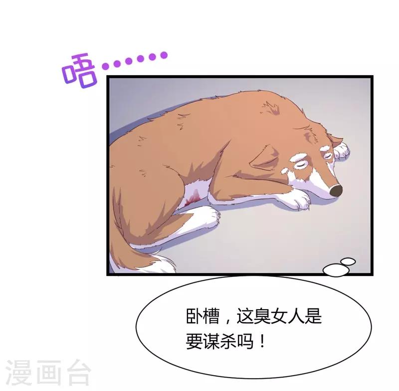 第15话 敢欺负我的狗？！-第15话