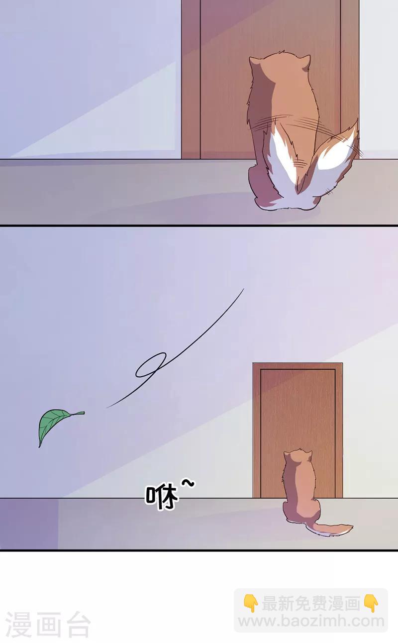 第5话 你受伤了-第5话