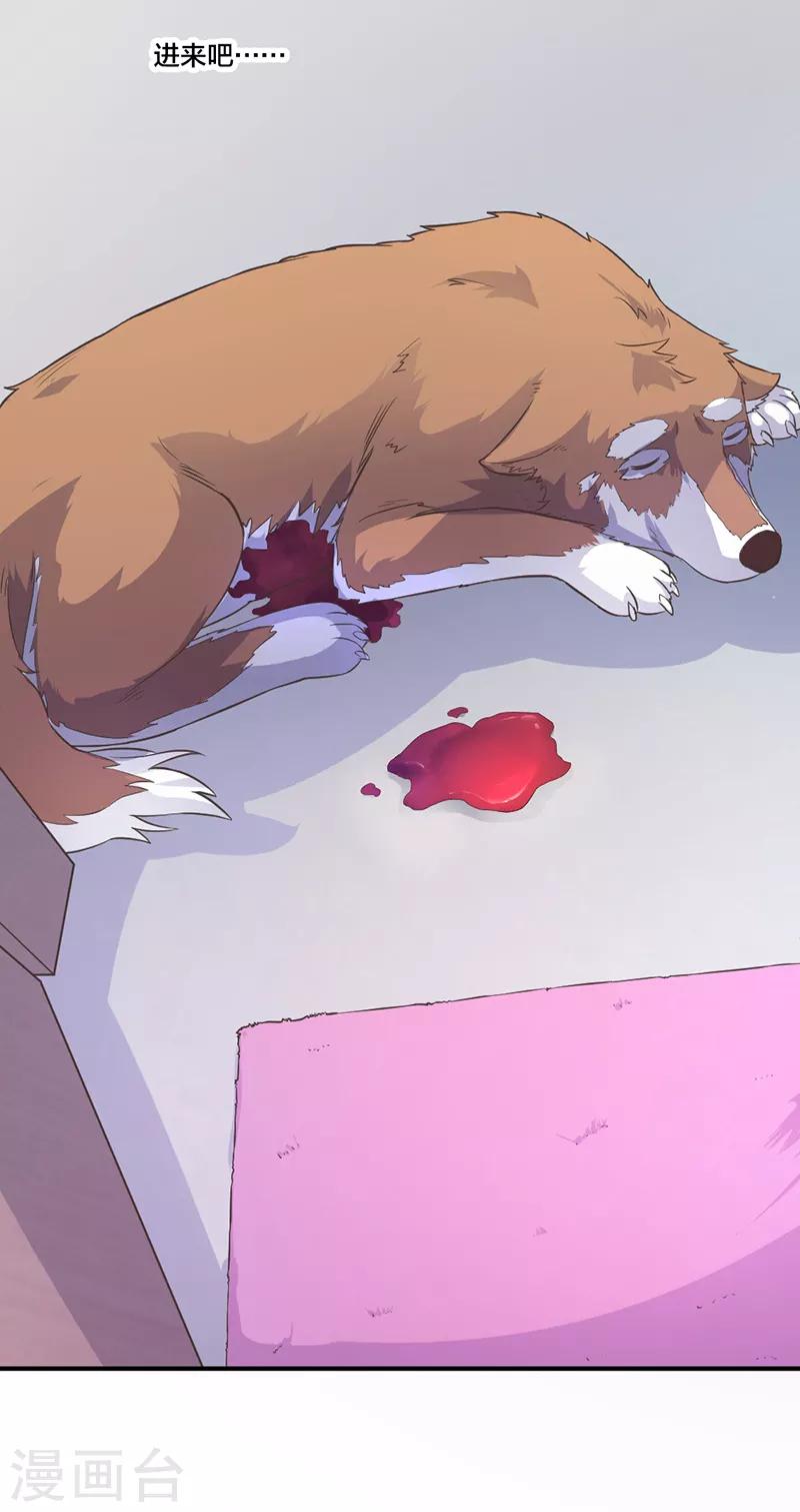 第5话 你受伤了-第5话