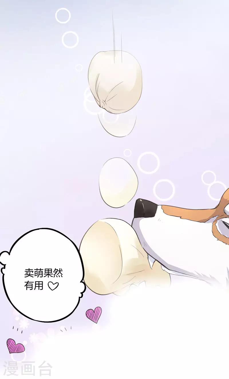 第7话 勉强收养你吧-第7话