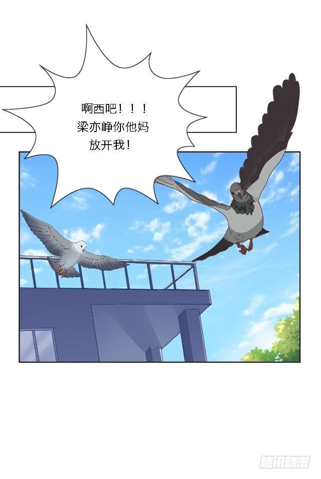 「第五十四章」完结篇-第55话