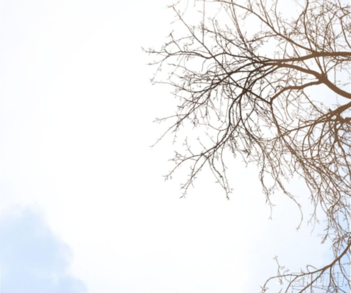 琅玕记事 - 红烛泪·十三(2/4) - 1