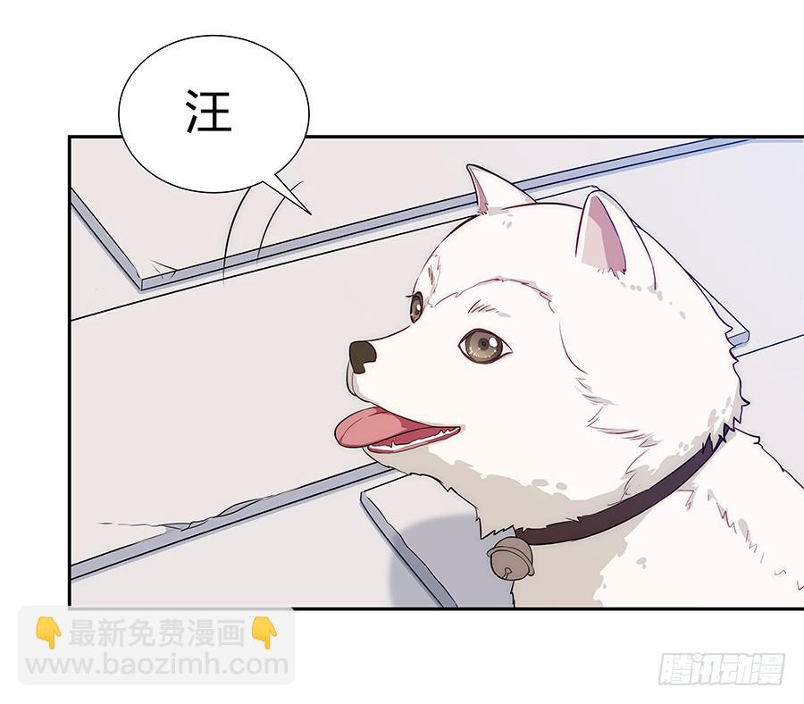 069耍大牌翻车现场(1/2)-第75话