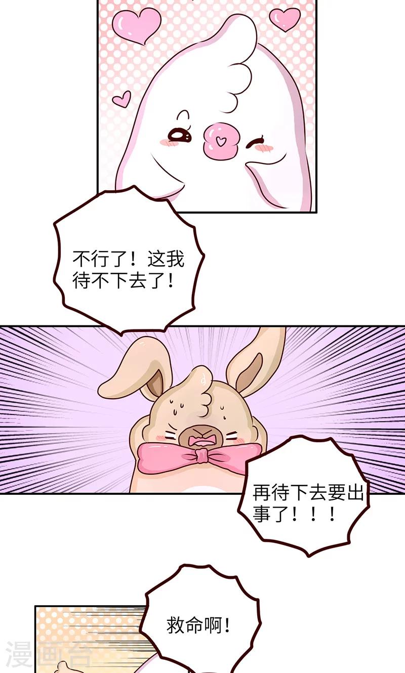 第33话 天生丽质-第33话