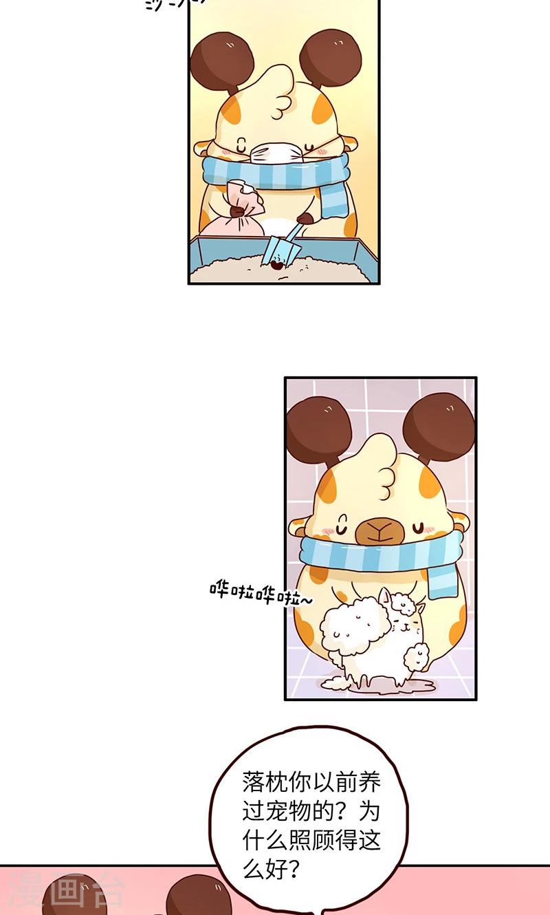 第37话 宠物女友-第37话