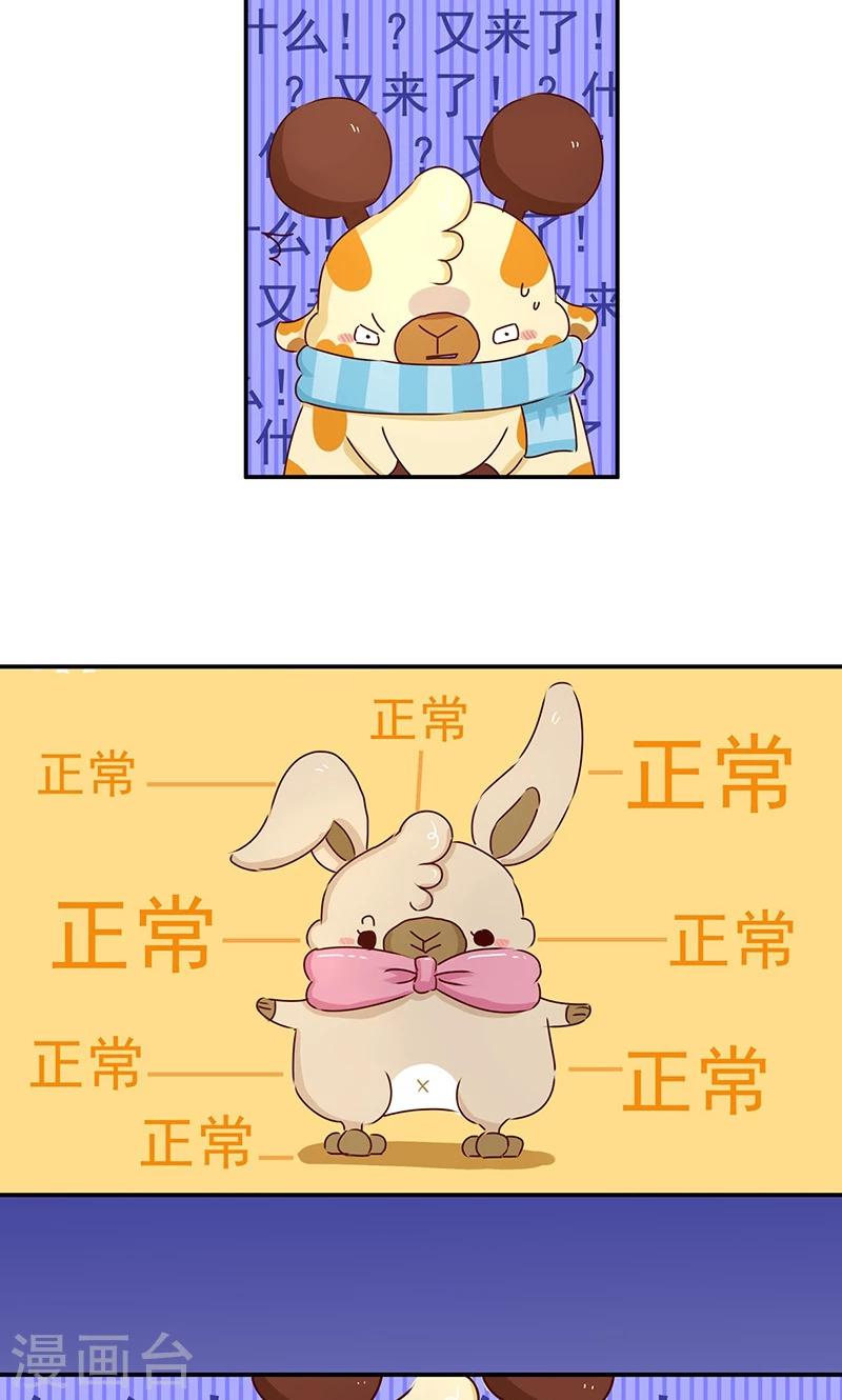 第39话  必死题-第39话