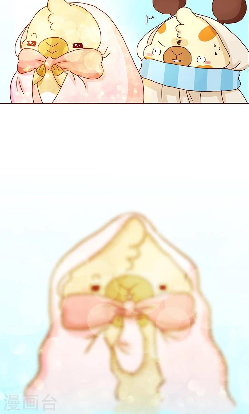 第43话 爱美无所不能-第43话