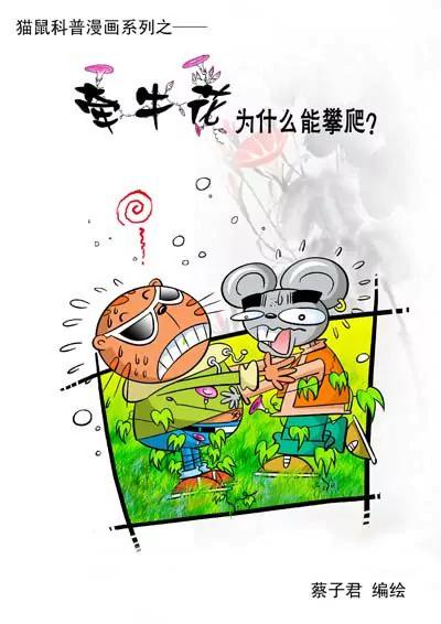 貓和老鼠科普漫畫 - 第11話 - 1