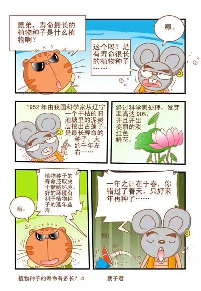 貓和老鼠科普漫畫 - 第19話 - 1