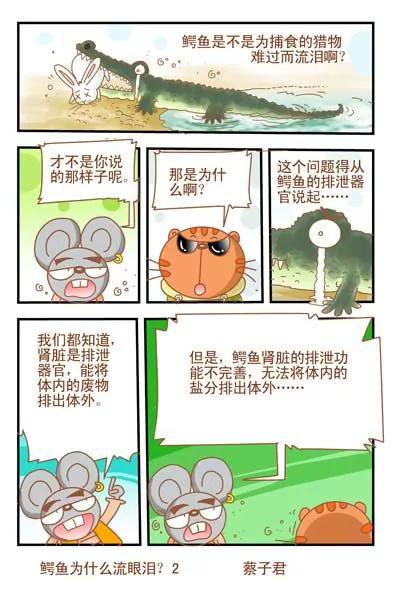 貓和老鼠科普漫畫 - 第29話 - 1