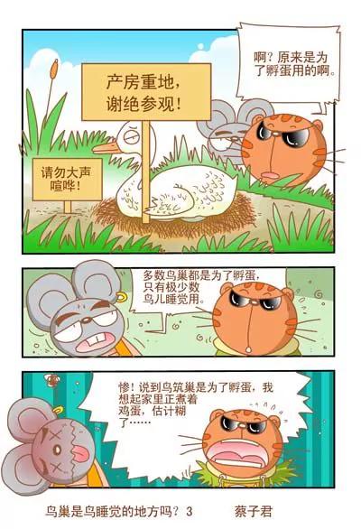 貓和老鼠科普漫畫 - 第37話 - 1