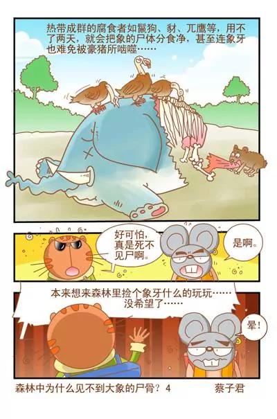 貓和老鼠科普漫畫 - 第39話 - 1