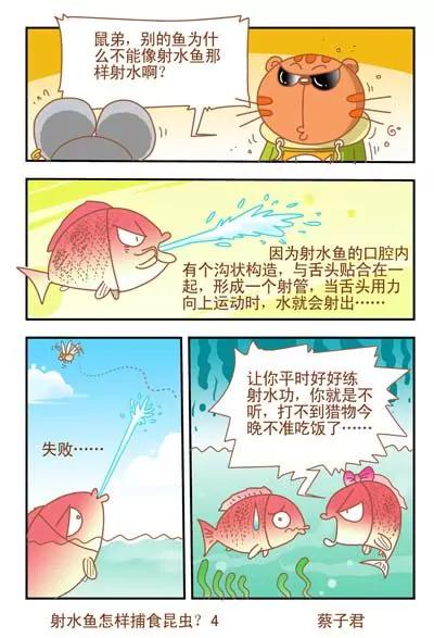 貓和老鼠科普漫畫 - 第41話 - 1