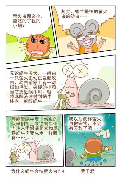 貓和老鼠科普漫畫 - 第47話 - 1