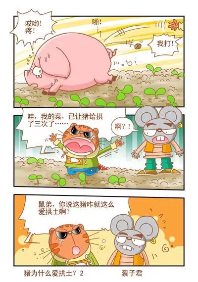 貓和老鼠科普漫畫 - 第51話 - 1
