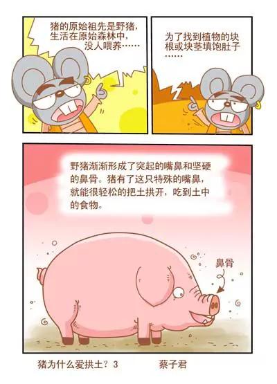 貓和老鼠科普漫畫 - 第51話 - 1