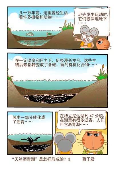 貓和老鼠科普漫畫 - 第53話 - 1