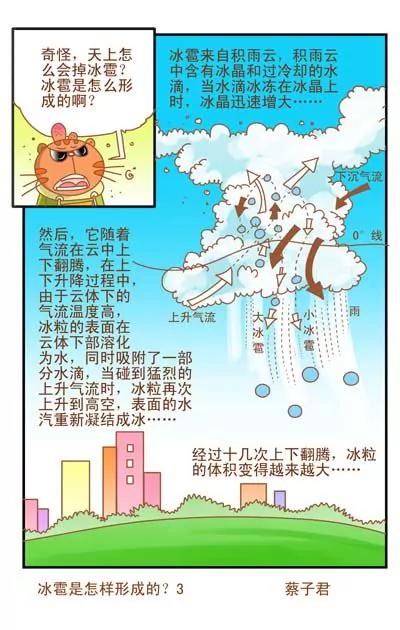 貓和老鼠科普漫畫 - 第55話 - 1