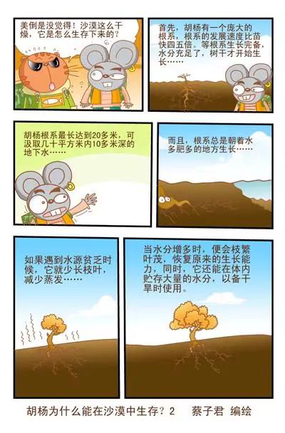 貓和老鼠科普漫畫 - 第7話 - 1