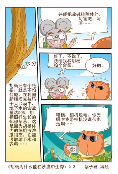 貓和老鼠科普漫畫 - 第7話 - 1