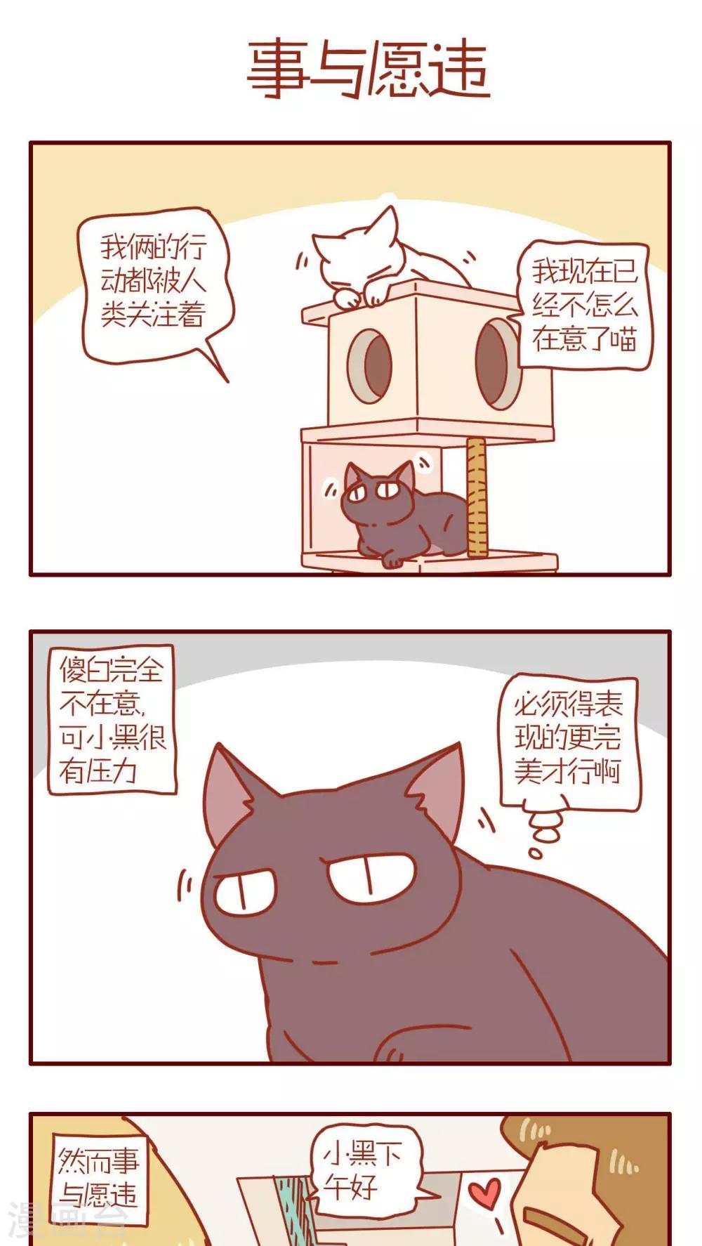 貓咪甜品屋 - 第101話 - 1