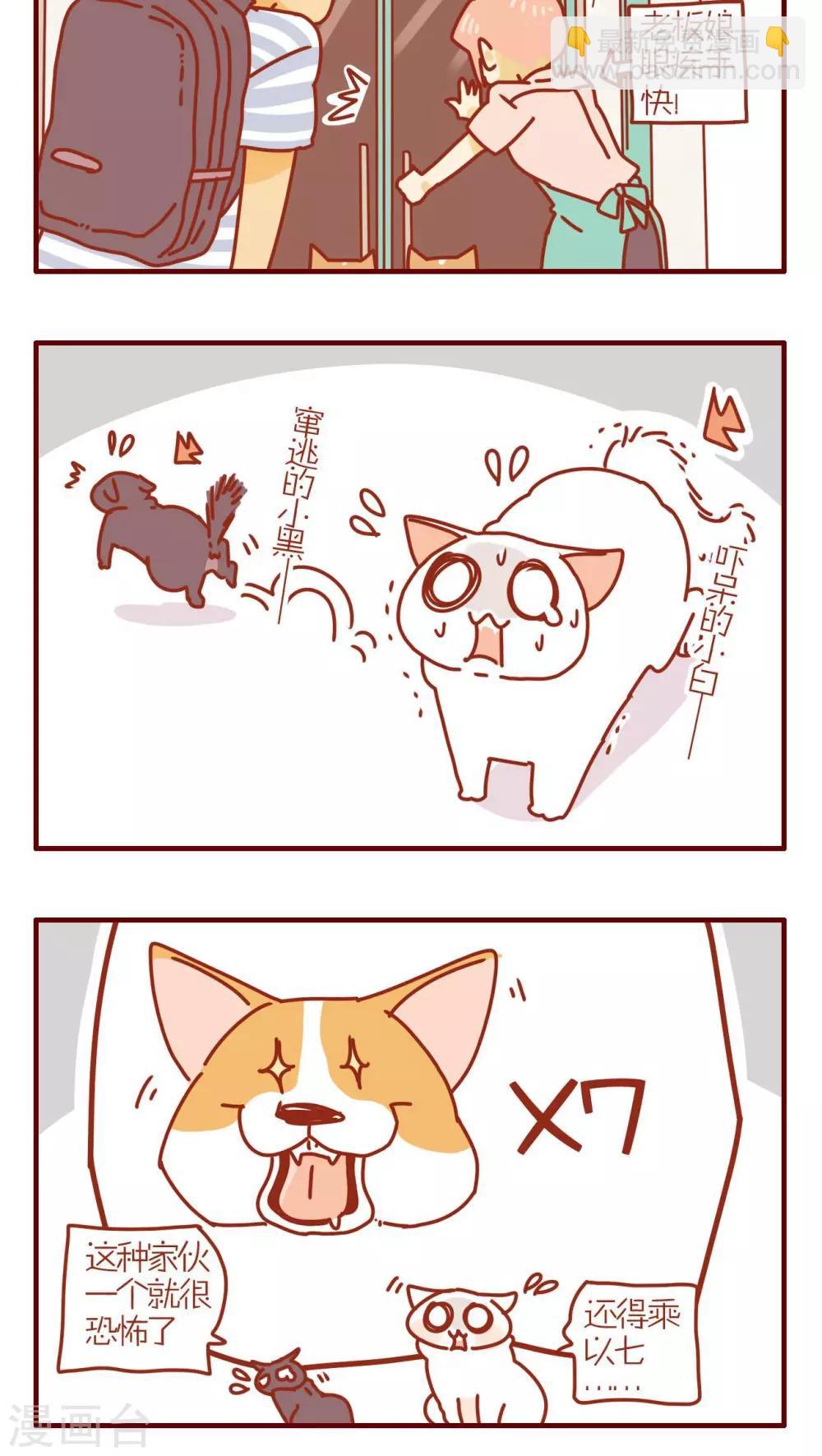 猫咪甜品屋 - 第167话 - 1