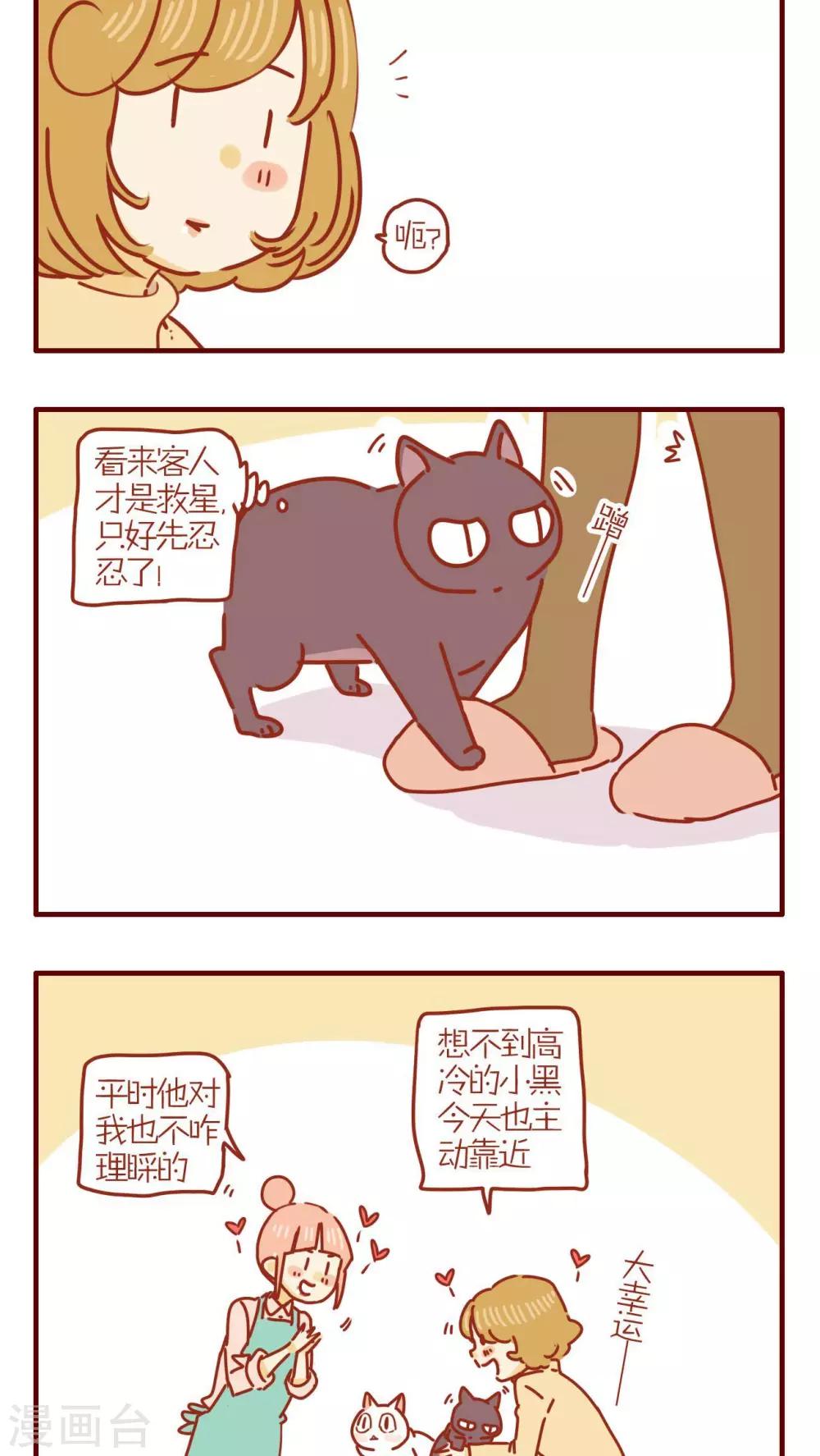 貓咪甜品屋 - 第239話 - 1