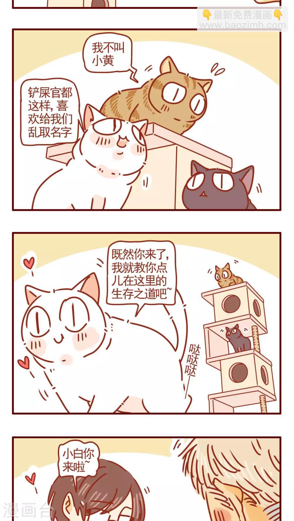 貓咪甜品屋 - 第279話 - 1