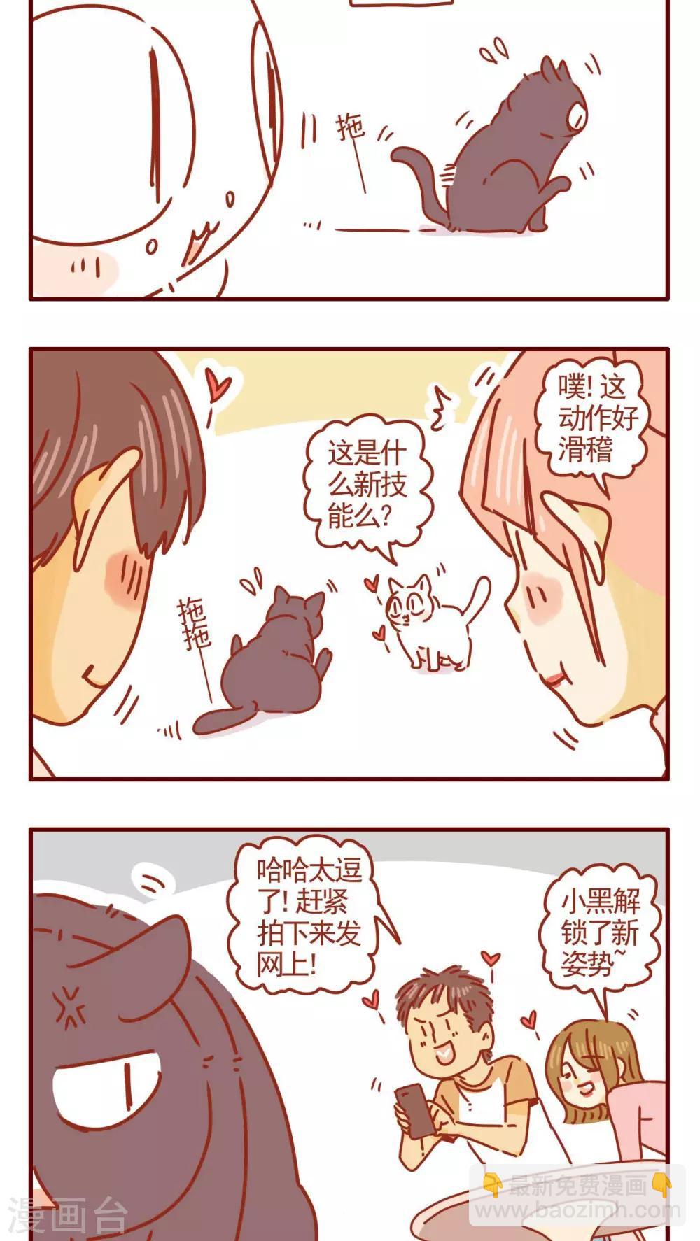 貓咪甜品屋 - 第285話 - 1