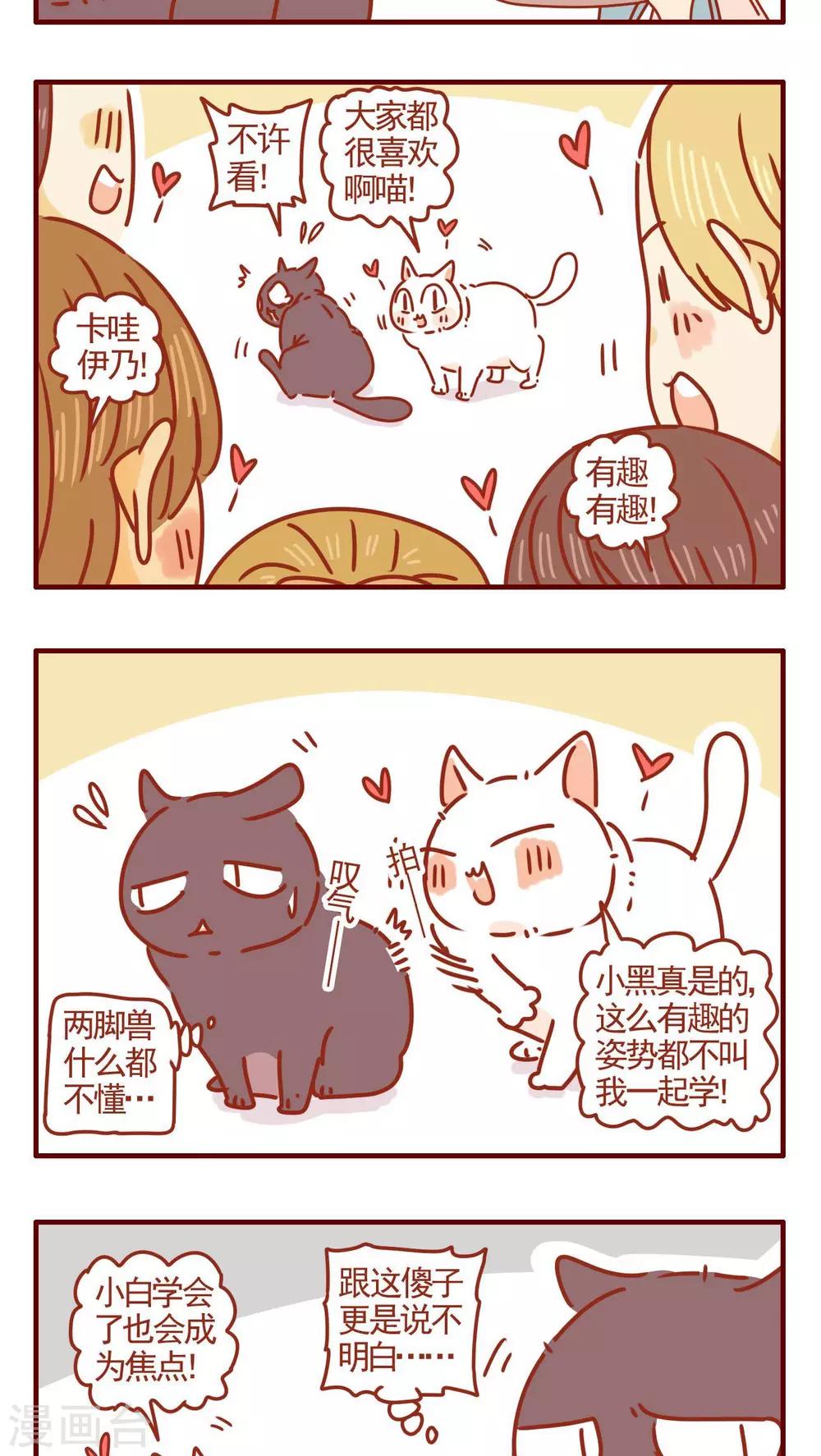 貓咪甜品屋 - 第285話 - 1