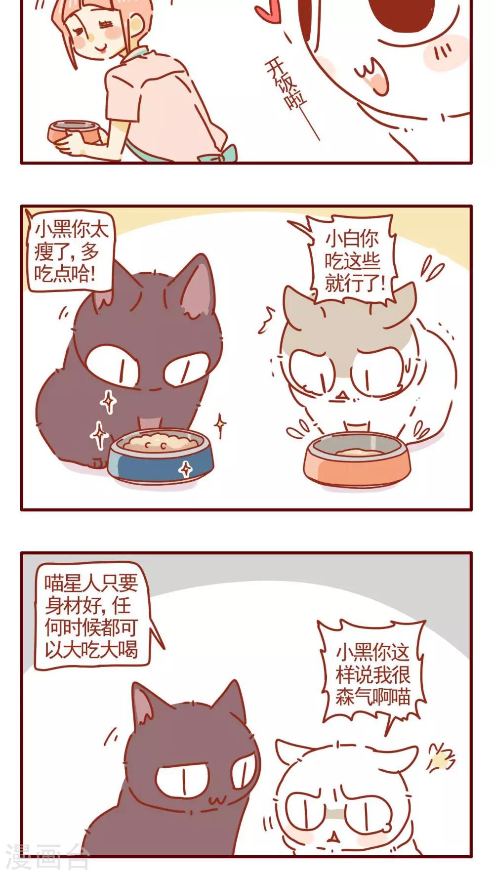 貓咪甜品屋 - 第297話 - 1