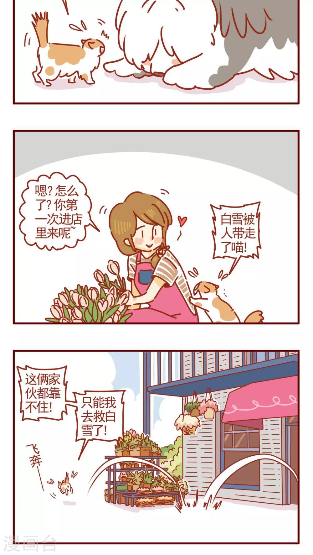 貓咪甜品屋 - 第317話 - 1